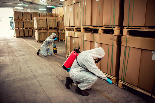 Best Best Pest Control Companies  in Lakewood, CA