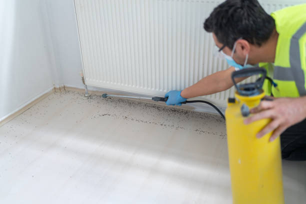 Best Pest Removal Services  in Lakewood, CA