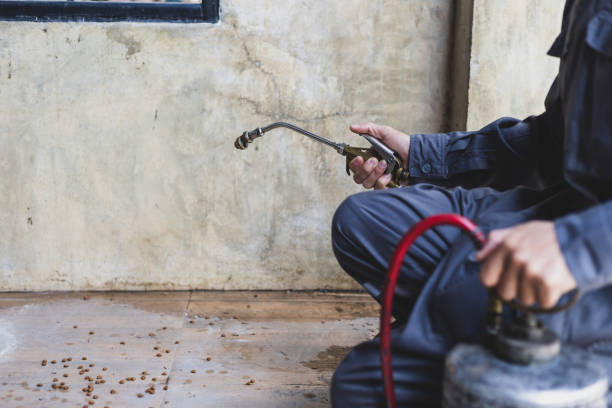 Best Pest Removal Services  in Lakewood, CA